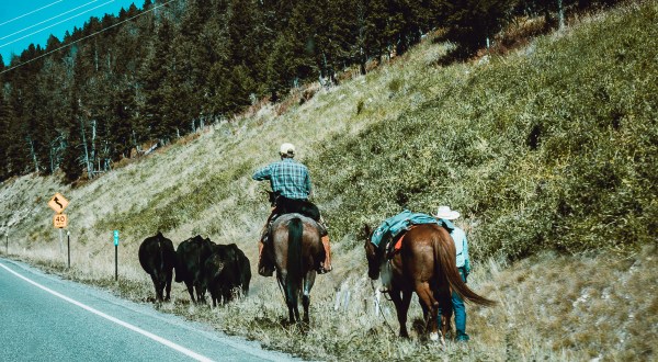 8 Things Wyomingites Will Always Be Stubborn About