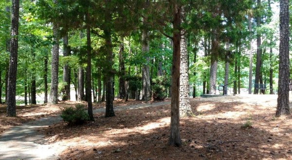 The 4-Acre Dog Park In Georgia, Brook Run Dog Park, Is Also A Hiker’s Paradise