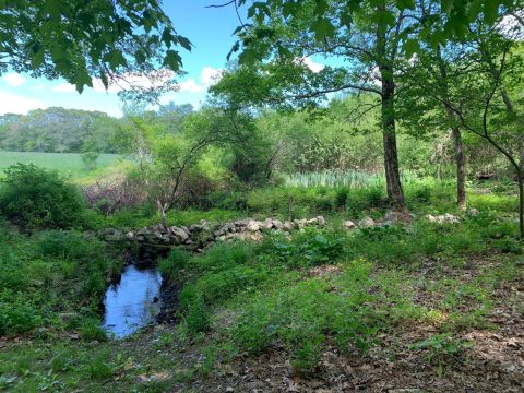 Get Lost In The Woods On Purpose On The Weetamoo Woods Trail In Rhode Island