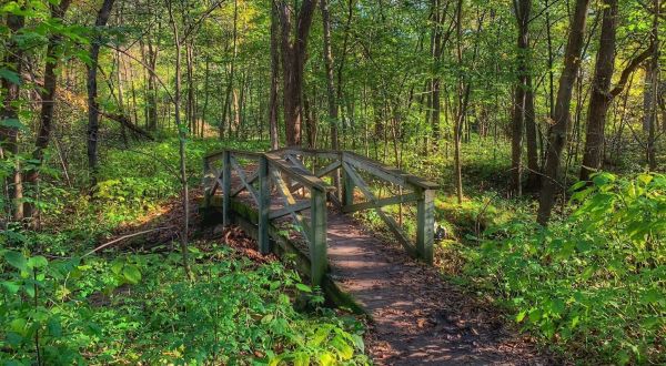 Minnesota’s Sandstone Bluffs Trail Will Lead You On A Beautiful Trip Through The Woods