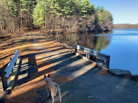 Gates Pond Trail Is A Surreal Escape From Civilization In Massachusetts