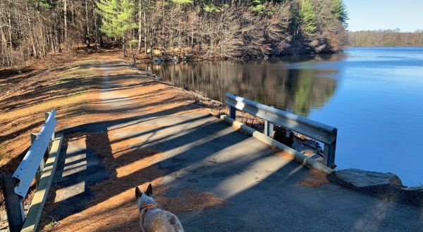 Gates Pond Trail Is A Surreal Escape From Civilization In Massachusetts