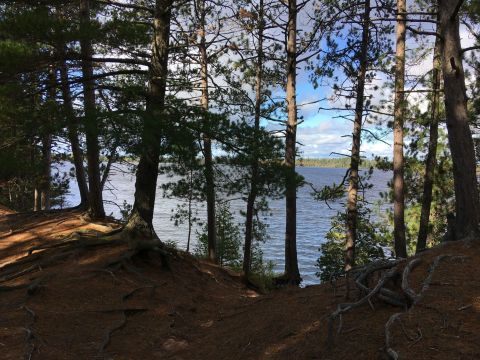 Take A Quiet And Serene Lake Trek On The Clark Lake Loop In Michigan