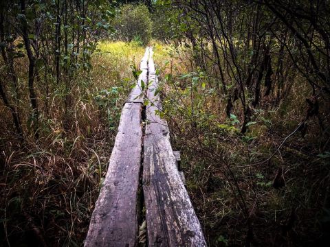 Discover Unforgettable Peace And Beauty At Minnesota's Angleworm Lake Trail