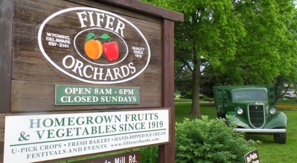 Enjoy A Tasty Homemade Pie From Fifer’s Orchard, A Delaware Landmark For More Than A Century