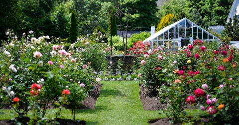 Fuller Gardens In New Hampshire Will Completely Transform When The Flowers Bloom This Spring