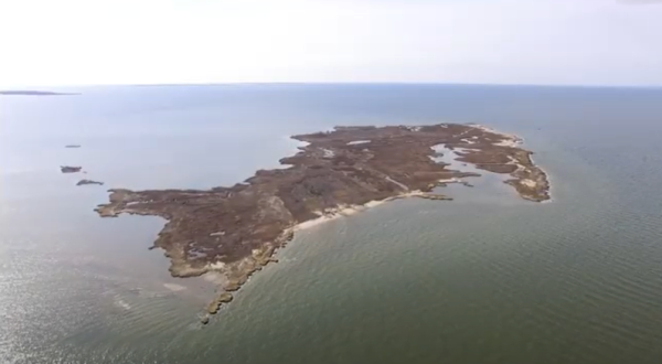 A Drone Flew High Above An Uninhabited Island In Maryland And Caught The Most Incredible Footage