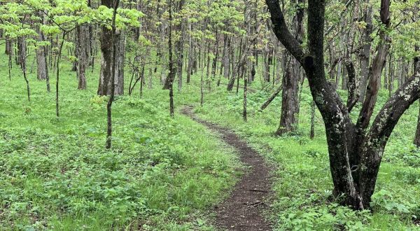Hike Past Massive Boulders And Mountain Laurel When You Embark On The Mount Pleasant Trail In Virginia