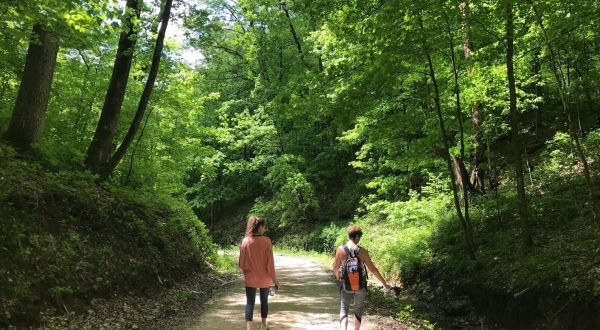 Yellow River State Forest In Iowa Is A Big Secluded Treasure