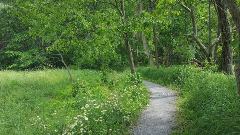 This Scenic Hilly Hike In Delaware Will Surely Keep You In Shape