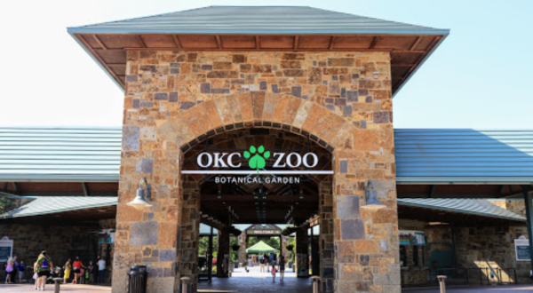 The Oklahoma City Zoo Is Live Streaming Red Pandas For Your Enjoyment
