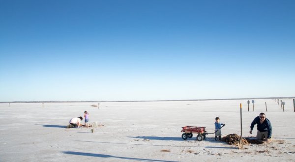 Dig For One-Of-A-Kind Selenite Crystals At Great Salt Plains Park In Oklahoma
