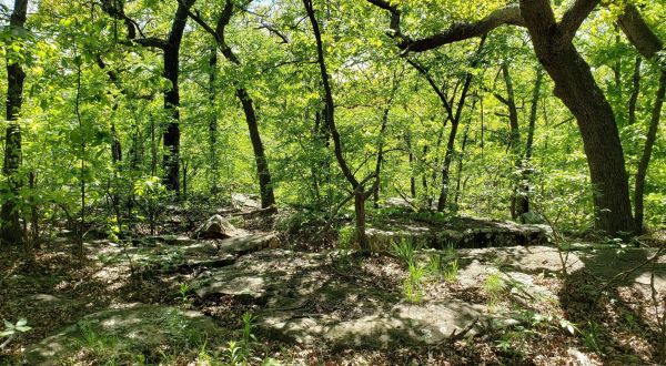 Explore Over 300 Acres Of Undeveloped Woodlands At Turkey Mountain Urban Wilderness Area In Oklahoma