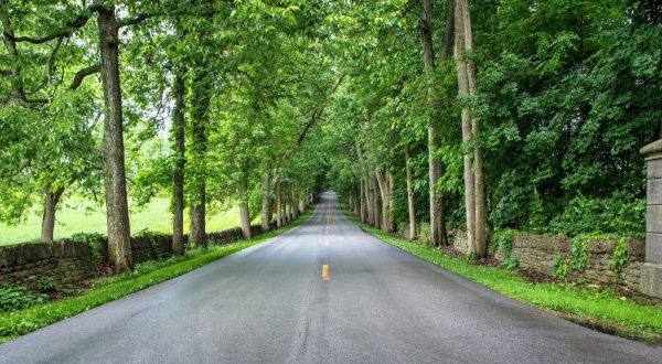 Take The Scenic Route Along Old Frankfort & Pisgah Pikes, The Most Idyllic Backroads In Kentucky