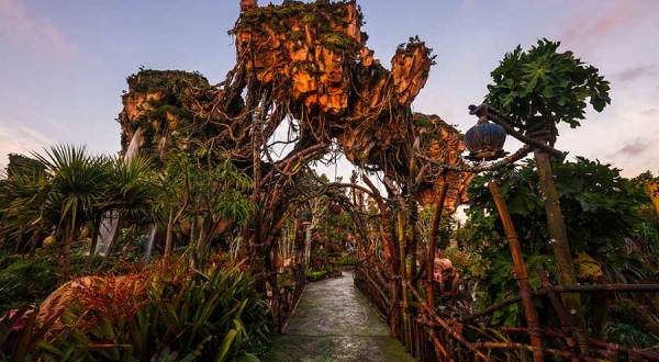 These Photos Of Disney’s Empty Animal Kingdom In Florida Are Otherworldly