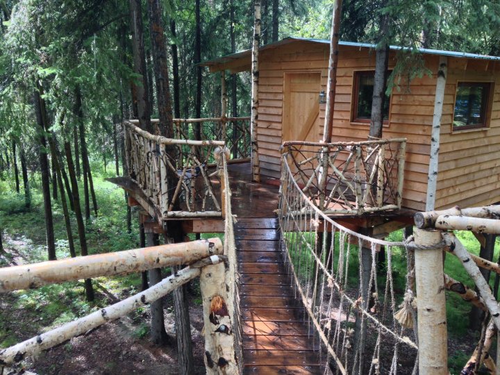 This Treehouse In Alaska Has A Swinging Bridge You Need To Cross