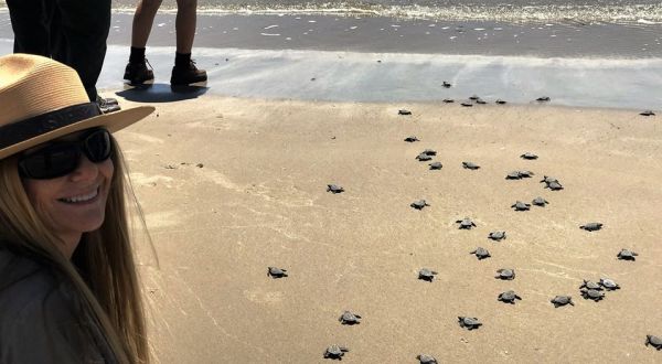 Kemp’s Ridley Sea Turtles Are Beginning To Nest In Texas, And It’s Looking Like A Busy Season