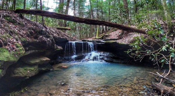 Ranked One Of The Best Kid-Friendly Hikes In Kentucky, Have Fun Exploring This Waterfall Trail In The Bluegrass