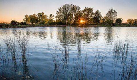 Travel From Cleveland To Catawba Island To Check Out The Area's Youngest Marsh Preserve