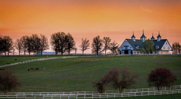 The Most-Photographed Horse Farm In The Country Is Right Here In The Heart Of Kentucky