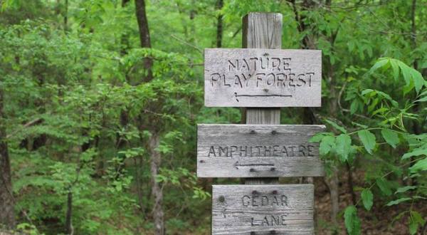 Enchanting Fun Awaits At The Play Forest In Mississippi