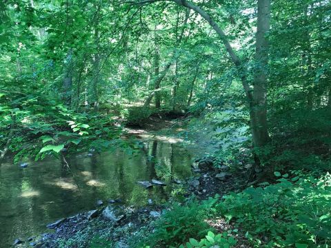 Hiking At Ridley Creek State Park In Pennsylvania Is Like Entering A Fairytale