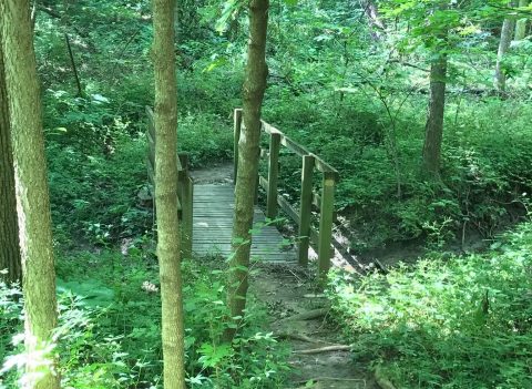 The Lush Forest Trail Through Maple Woods Natural Area In Missouri Will Give You Respite From Stress