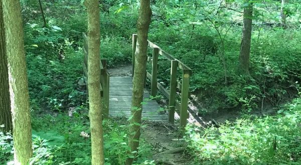 The Lush Forest Trail Through Maple Woods Natural Area In Missouri Will Give You Respite From Stress