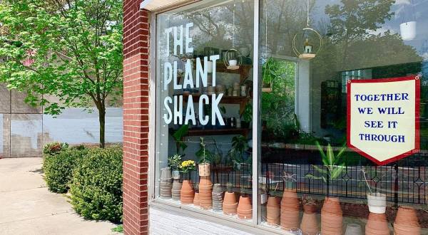The Charming Little Plant Shack Near Buffalo That’s Every Plant Lover’s Paradise