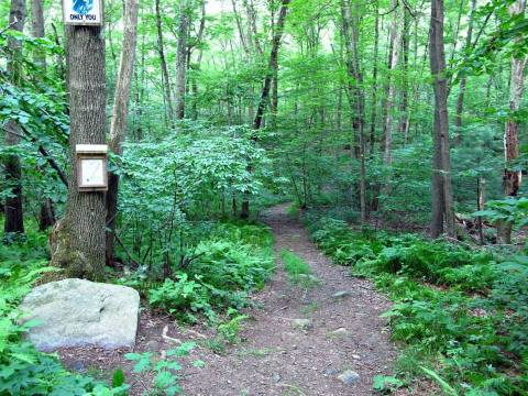 A Scenic Getaway In Connecticut, Campbell's Peaceful Valley Conservation Area Is Full Of Lovely Hiking Trails
