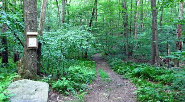 A Scenic Getaway In Connecticut, Campbell’s Peaceful Valley Conservation Area Is Full Of Lovely Hiking Trails