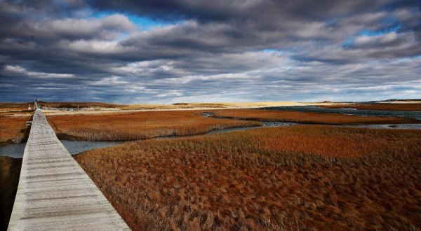 Take An Otherworldly Boardwalk Stroll Over Mill Creek In Massachusetts