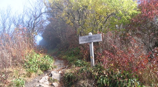 These Hiking Spots In The Great Smoky Mountains Were The First To Be Opened To The Public