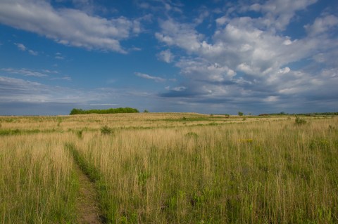 For Gorgeous Views Of Field And Forest, Hike To The Top Of A Sand Dune At Grey Cloud Dunes In Minnesota
