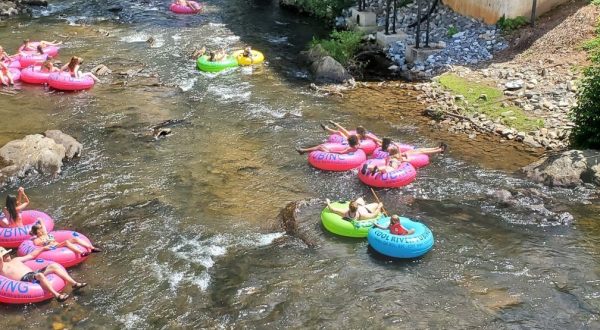 Float Past Some Of The Most Beautiful Scenery In Georgia When You Take A Trip Down The Chattahoochee River