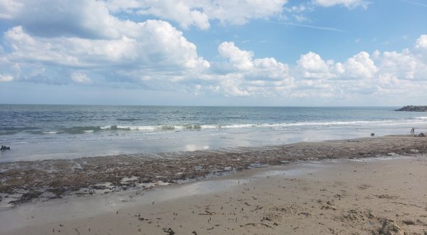 Head To Virginia’s Grandview Nature Preserve For A Secluded Beach Dazzling With Seashells