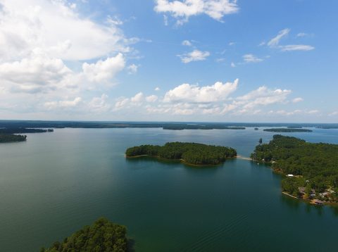 Some Of The Cleanest And Clearest Water Can Be Found At Alabama's Lake Martin