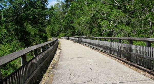 The Tammany Trace Near New Orleans Is The Perfect Paved Trail For The Weekend Warrior
