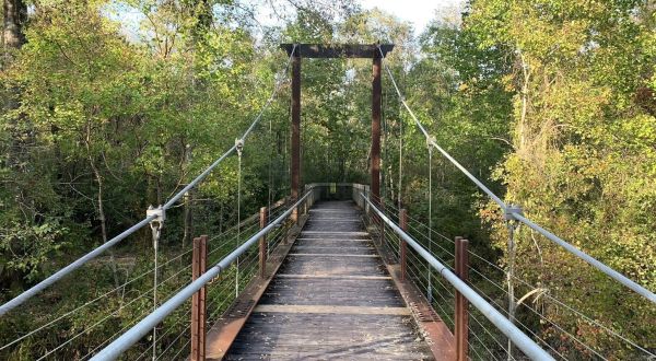 Take An Easy Loop Trail To Enter Another World At Tickfaw State Park In Louisiana