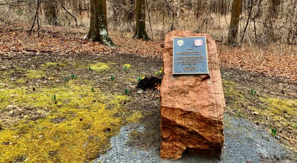 Not Many Know That Maryland’s Walker Mill Regional Park Is Home To A Helicopter Crash Site Memorial