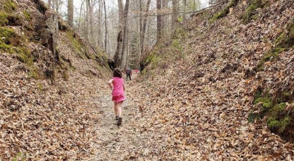 This 10-Foot-Deep Gully In Mississippi Was Created Thousands Of Years Ago, And You Can Hike It