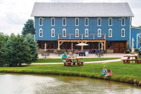 You Can Drink Wine With Horses And Donkeys At Blue Barn Winery In Ohio