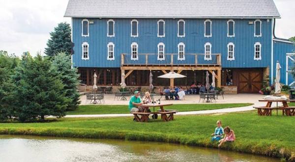 You Can Drink Wine With Horses And Donkeys At Blue Barn Winery In Ohio