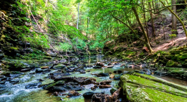 Hiking At South Cumberland State Park In Tennessee Is Like Entering A Fairytale