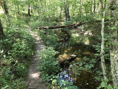Hiking At Hawn State Park In Missouri Is Like Entering A Fairytale