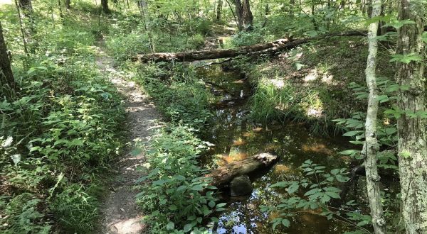 Hiking At Hawn State Park In Missouri Is Like Entering A Fairytale