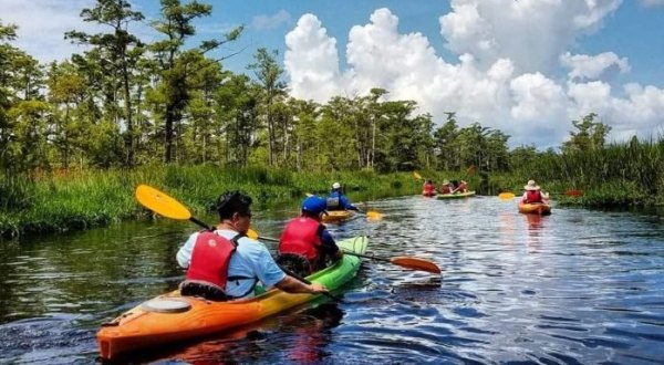 Spend An Afternoon Taking A Delightful Kayak Paddling Tour Through The Outer Banks In North Carolina This Spring