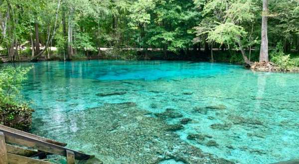 The Water Is A Brilliant Blue At Ginnie Springs, A Refreshing Roadside Stop In Florida