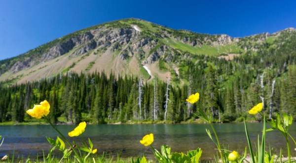 Hike The Jewel Basin, Montana’s True Hidden Gem, This Summer