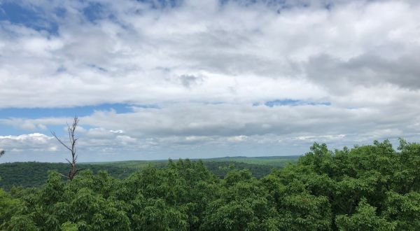 Climb 85 Feet To The Top Of Cook Forest Fire Tower In Pennsylvania And You Can See The Clarion River Valley